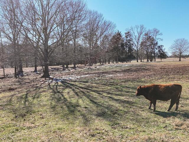 Photo of 414 Giggle Drive