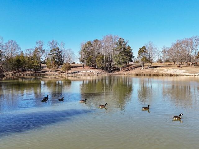 Photo of 414 Giggle Drive