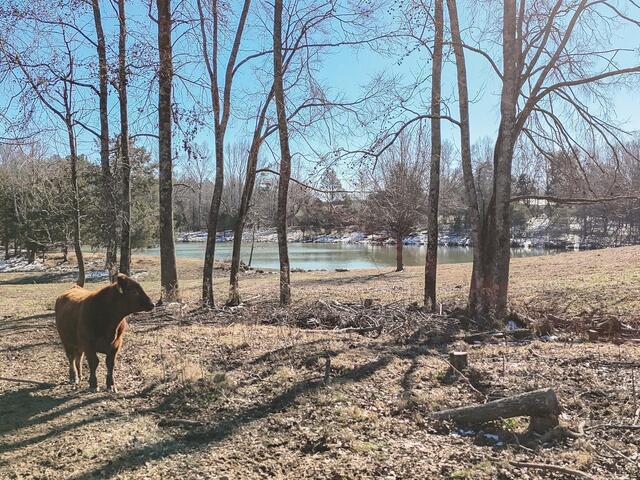 Photo of 414 Giggle Drive