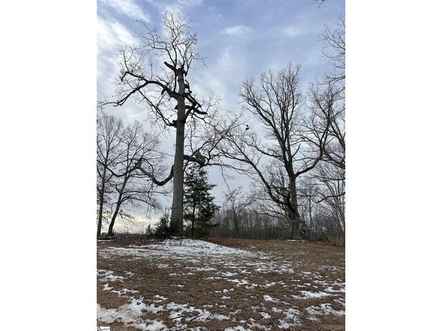 Photo of 165 Still Lake Trail