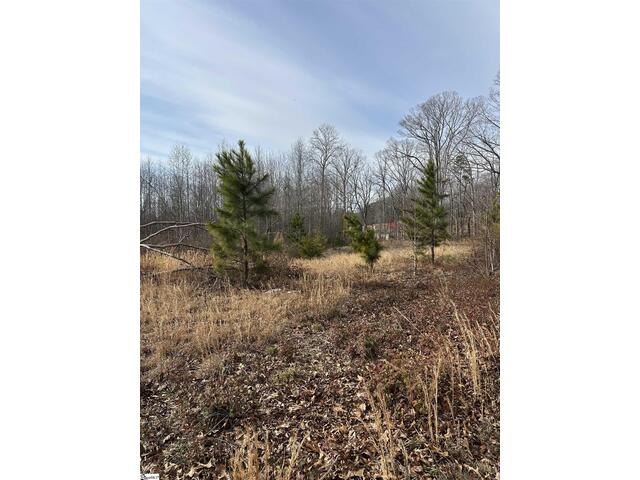 Photo of 165 Still Lake Trail