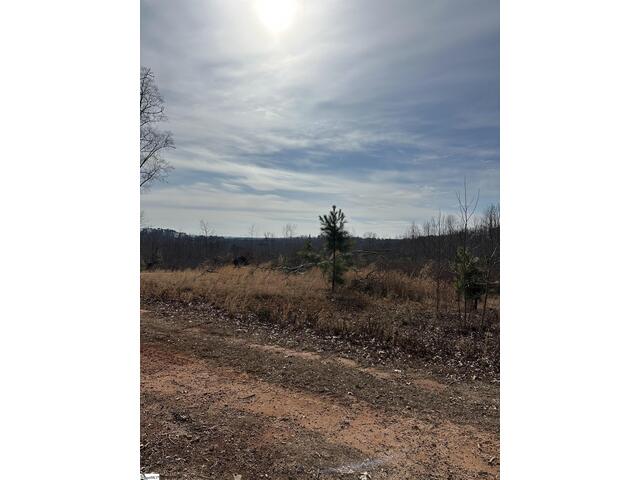 Photo of 165 Still Lake Trail