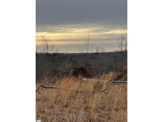 Photo of 165 Still Lake Trail