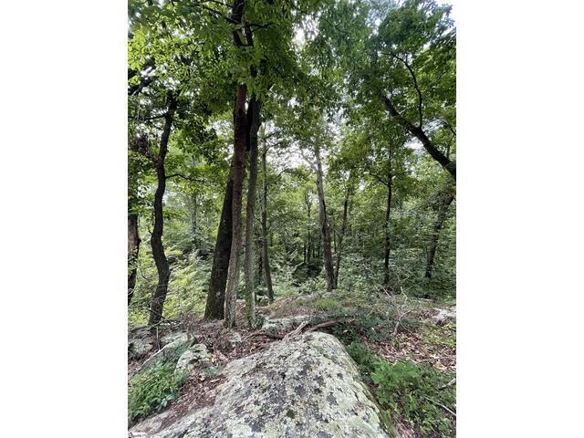 Photo of 0 Pine Shadow Lane