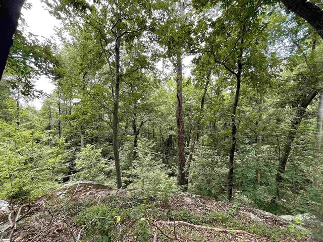 Photo of 0 Pine Shadow Lane