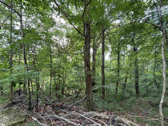 Photo of 0 Pine Shadow Lane