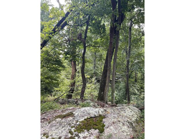 Photo of 0 Pine Shadow Lane