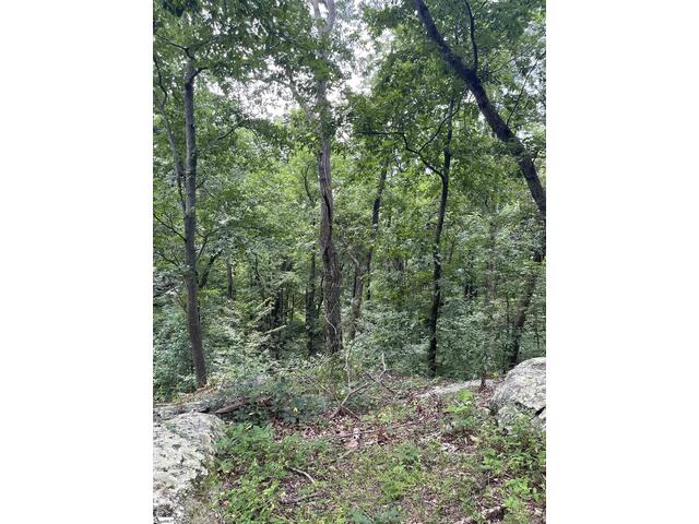 Photo of 0 Pine Shadow Lane