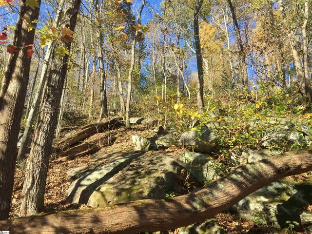 Photo of 19 Grosbeak Way