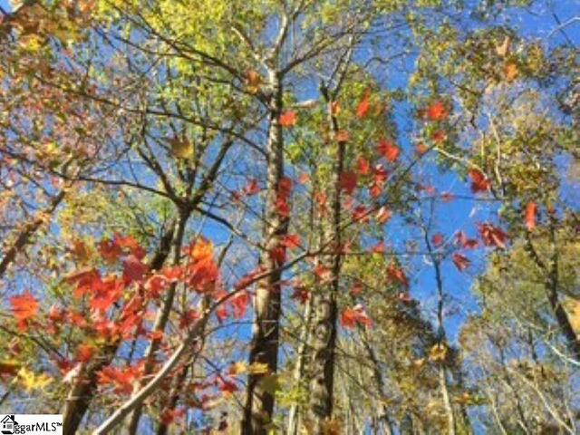 Photo of 19 Grosbeak Way