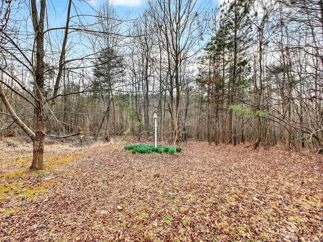 Photo of 524 Hendricks Road