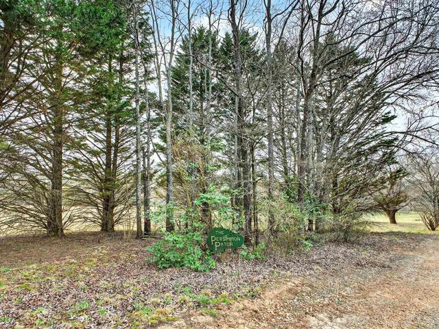 Photo of 524 Hendricks Road