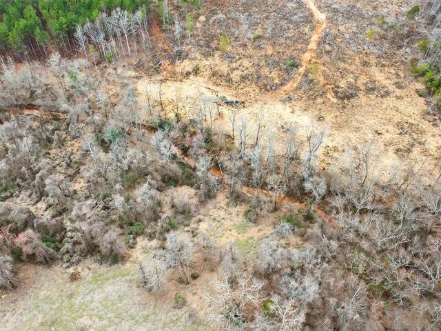 Photo of 524 Hendricks Road