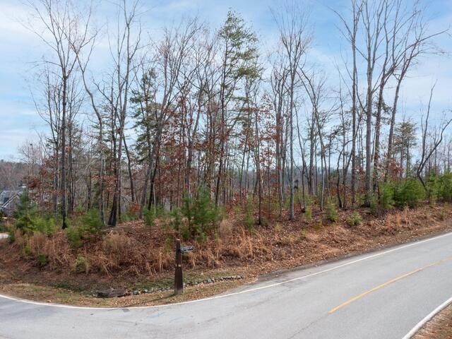 Photo of Lot 64 Sailview Court