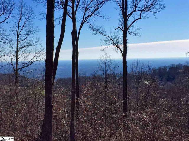 Photo of Indian Pipe Trail