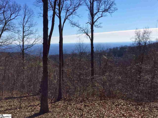 Photo of Indian Pipe Trail