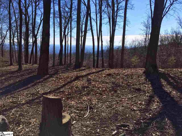 Photo of Indian Pipe Trail