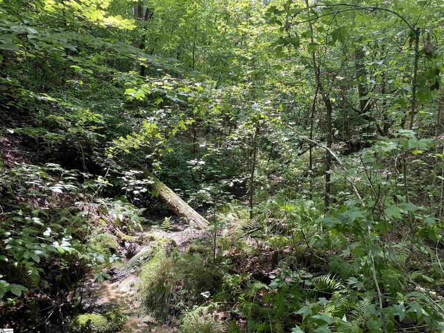 Photo of 00 N Lake Drive