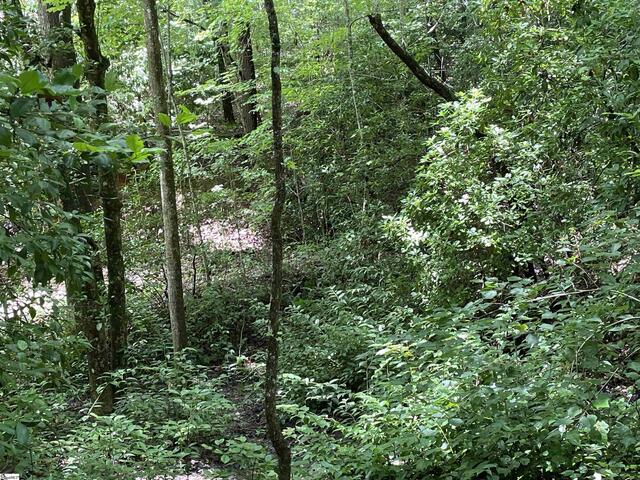 Photo of 00 N Lake Drive