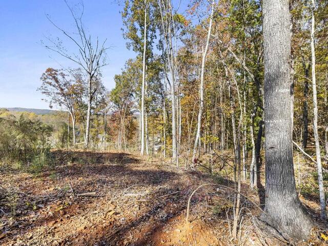 Photo of 163 Red Hill Road