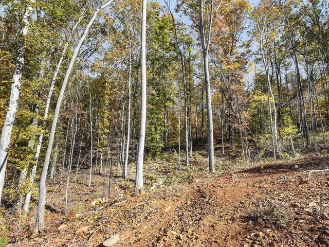 Photo of 163 Red Hill Road