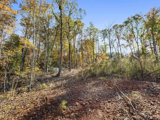 Photo of 163 Red Hill Road