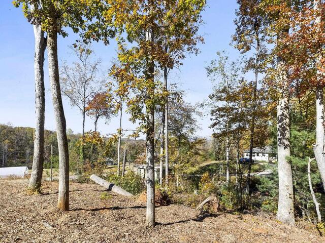 Photo of 163 Red Hill Road