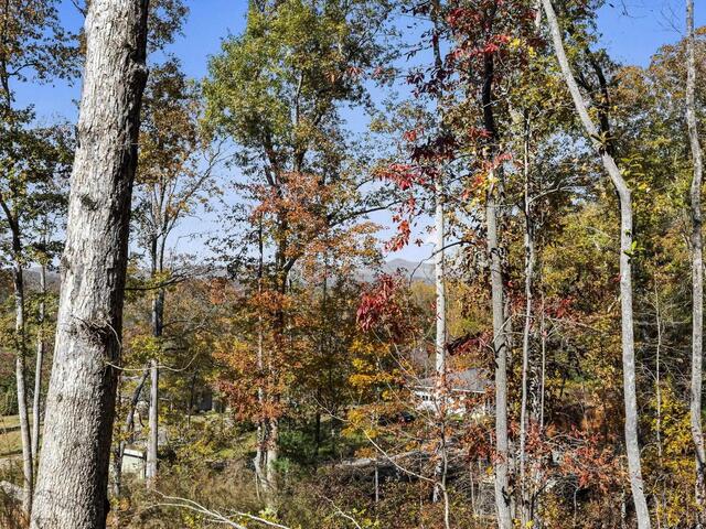 Photo of 163 Red Hill Road