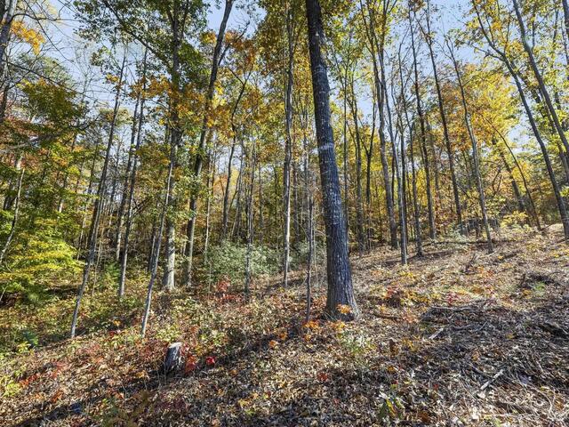 Photo of 163 Red Hill Road