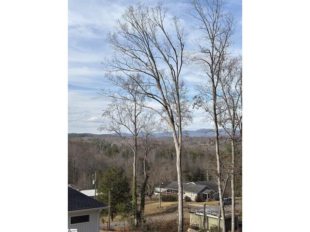 Photo of 163 Red Hill Road