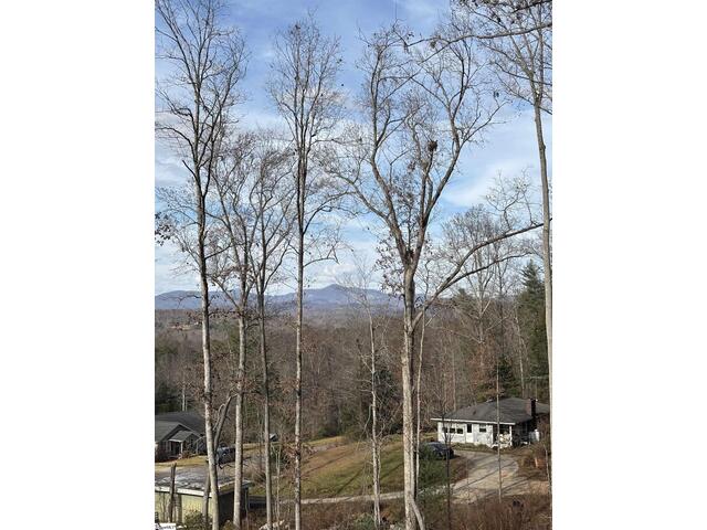 Photo of 163 Red Hill Road