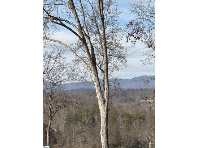 Photo of 163 Red Hill Road