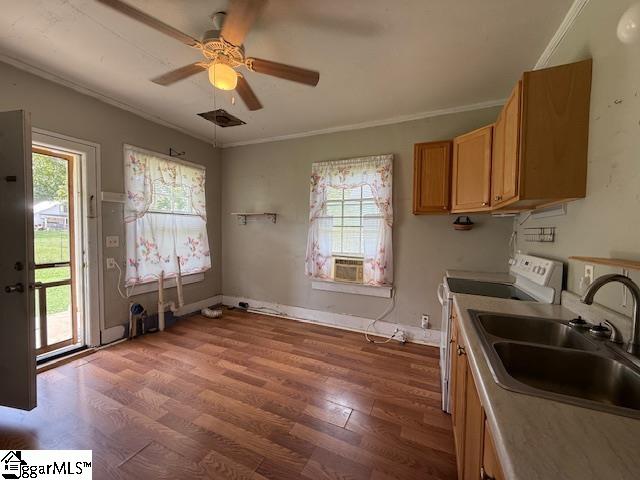 Photo of 184 cypress Street