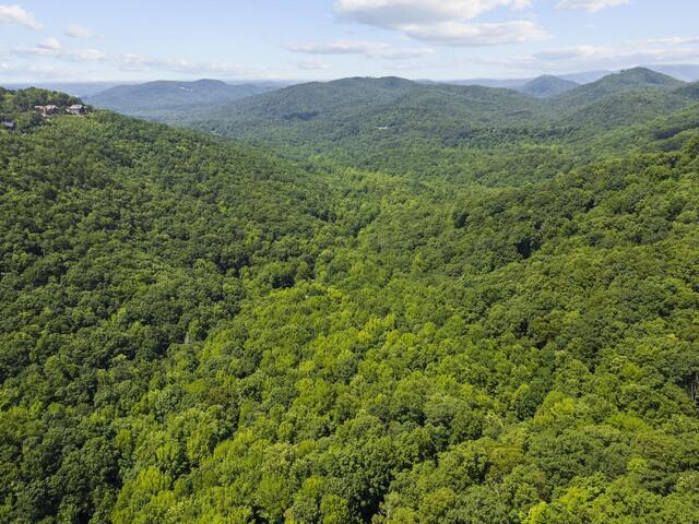 Photo of 00 Panther Park Trail