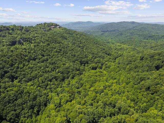 Photo of 00 Panther Park Trail