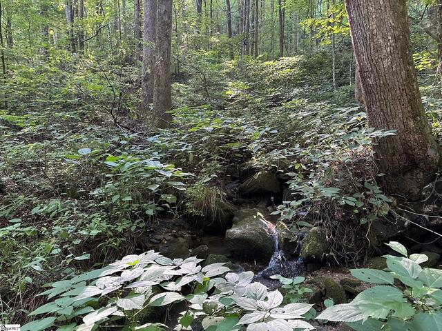 Photo of 00 Panther Park Trail