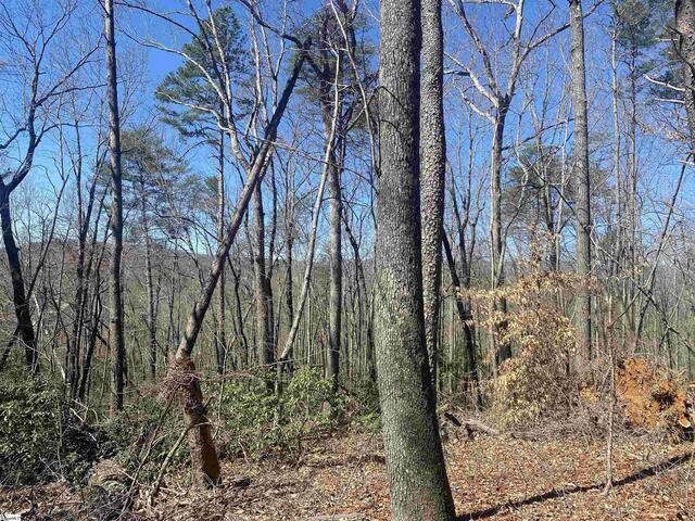 Photo of 215 Luberon Lane