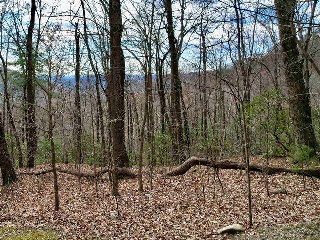 Photo of 1329 Panther Park Trail