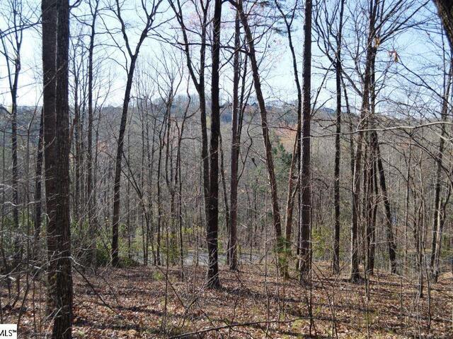 Photo of Blue Bonnet Way