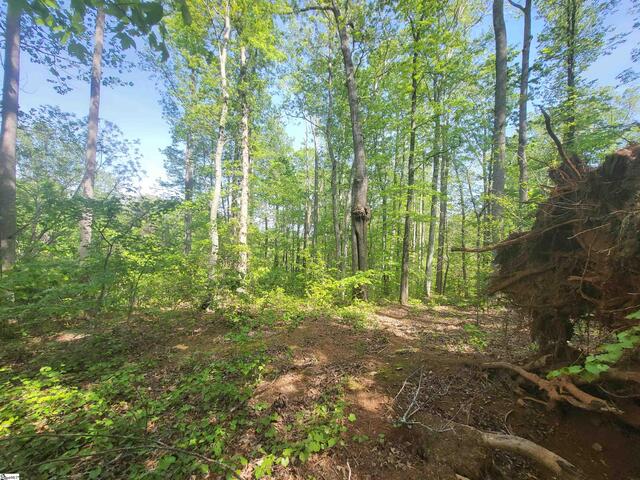 Photo of 121 Laurel Valley Way