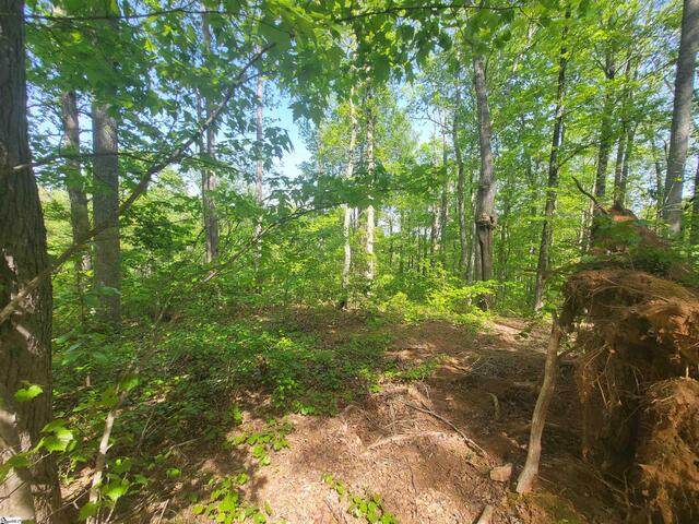 Photo of 121 Laurel Valley Way