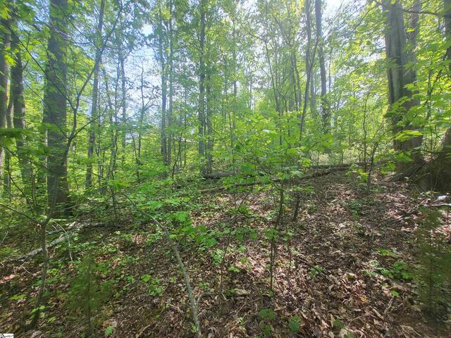 Photo of 121 Laurel Valley Way