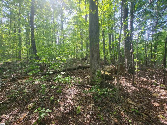 Photo of 121 Laurel Valley Way