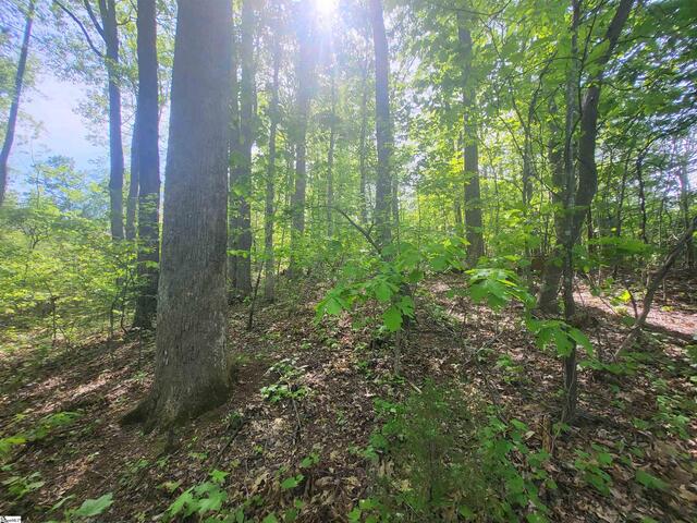 Photo of 121 Laurel Valley Way