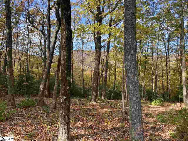 Photo of 1526 Panther Park Trail