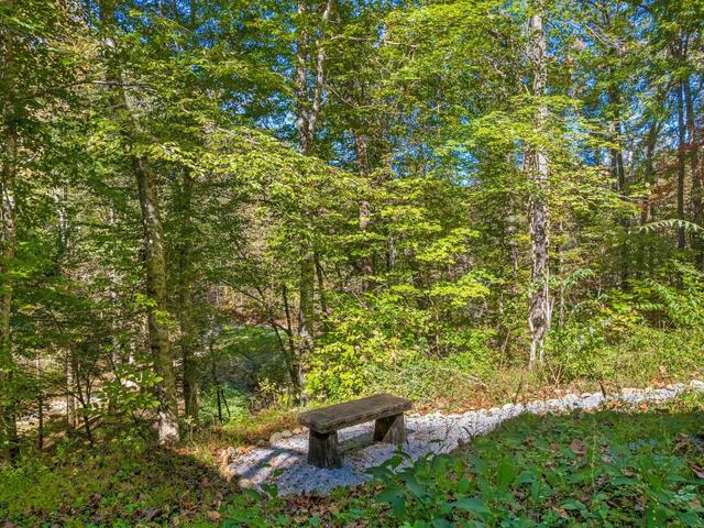 Photo of 262 Belvoir Drive