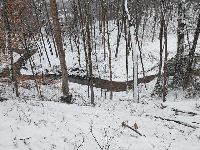 Photo of 262 Belvoir Drive