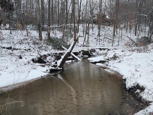 Photo of 262 Belvoir Drive