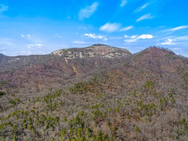 Photo of 262 Belvoir Drive