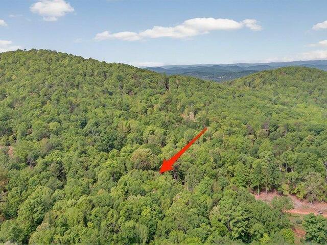 Photo of 274 Chinquapin Road